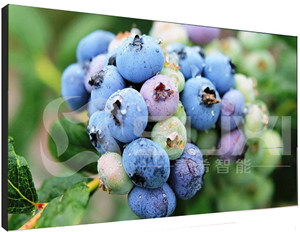 液晶拼接屏出現(xiàn)色差應該如何維修？